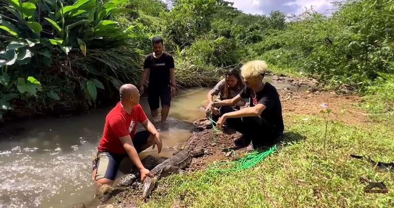 9 Potret Panji Petualang Temukan Biawak `Rasa` Komodo, Pemakan Sapi, Ukurannya Bikin Bergidik!