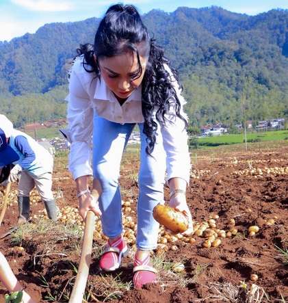 5 Potret Krisdayanti Ajak Amora dan Kellen Panen Kentang, Sepatu yang Dipakai Bikin Salfok