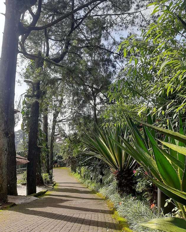 10 Potret Hotel Mewah Tamara Bleszynski, Warisan Sang Ayah yang Dijadikan Jaminan Utang