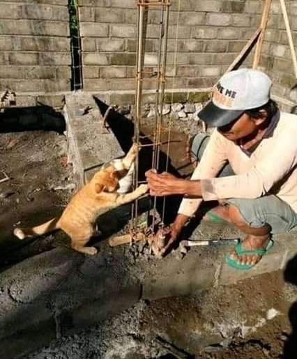 10 Potret Lucu Kuli Bangunan Saat Bikin Tembok, Hasilnya Sungguh di Luar Nalar!