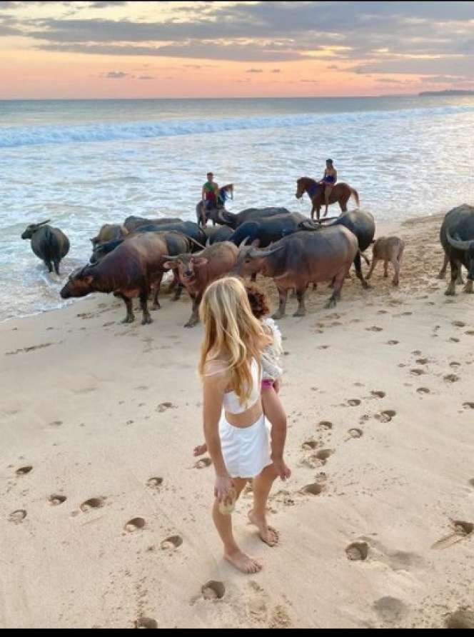 Potret Panji Trihatmodjo Liburan Mewah di Sumba, Sang Istri si Bule Cantik Varsha Strauss Bahagia Lihat Kerbau!