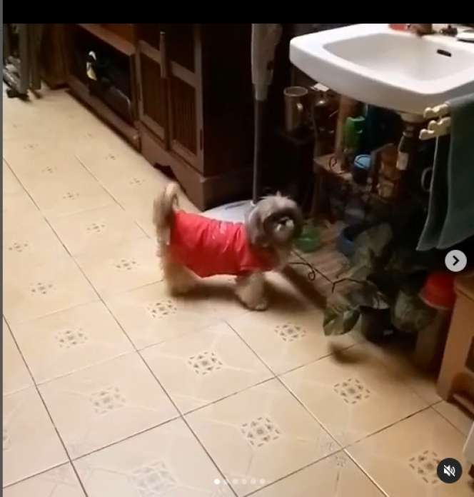 Ingat Trie Utami, Juri Killer di AFI? Dulu Terkenal Galak, Kini Penampilannya Bikin Pangling, Ternyata Rumahnya Sederhana