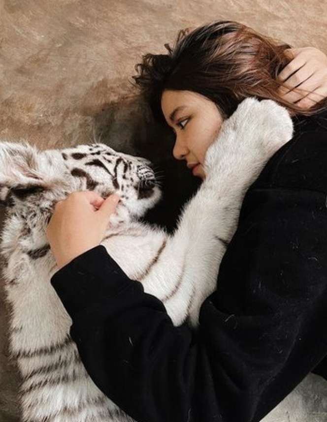 Potret 'Ngeri-ngeri Sedap' Tiara Andini Bareng Selen, Harimau Putih Milik Alshad Ahmad