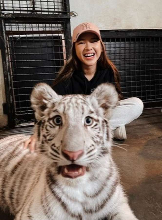 Potret 'Ngeri-ngeri Sedap' Tiara Andini Bareng Selen, Harimau Putih Milik Alshad Ahmad