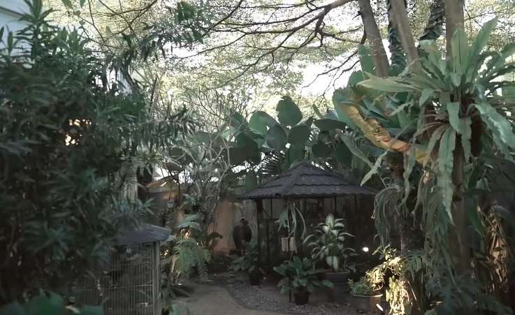 Potret Rumah Estetik Yuni Shara, Dipenuhi Tanaman Mahal