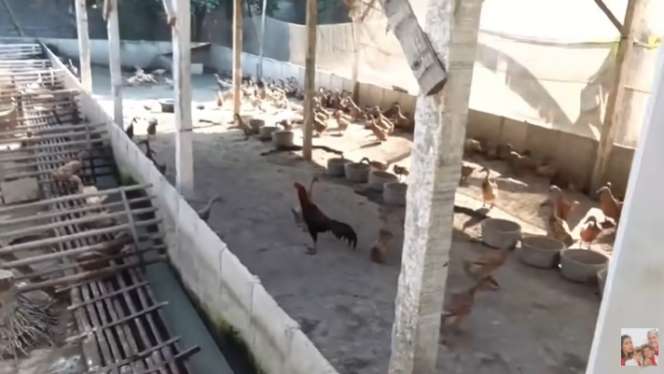 10 Potret Rumah TKW Asal Blitar di Kampung, Dulu Dihina Kini Bangun Istana Megah, Ada Kandang Super Besar!