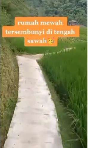 8 Potret Rumah Mewah 2 Lantai Tersembunyi di Tengah Sawah, Netizen Salfok Jalan Masuknya!