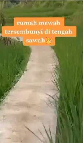 8 Potret Rumah Mewah 2 Lantai Tersembunyi di Tengah Sawah, Netizen Salfok Jalan Masuknya!