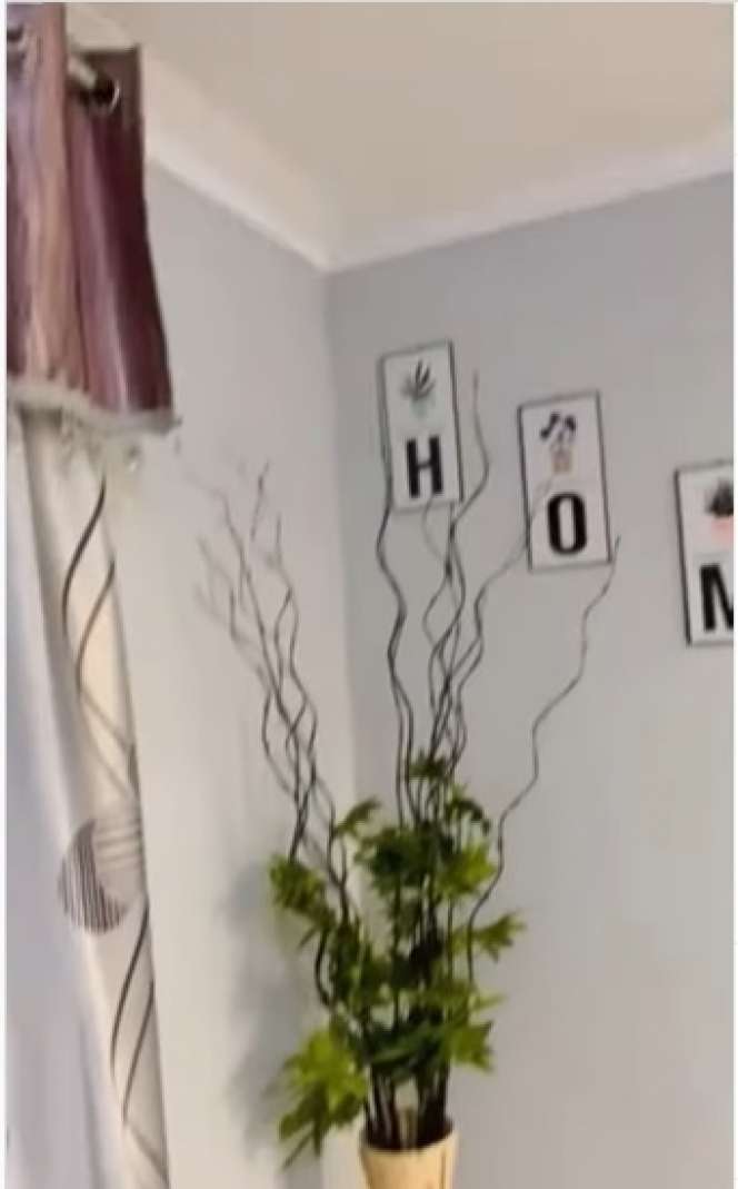 Potret Rumah Anti Sombong, dari Luar Berdinding Kayu Ternyata Isinya Bikin Melongo!