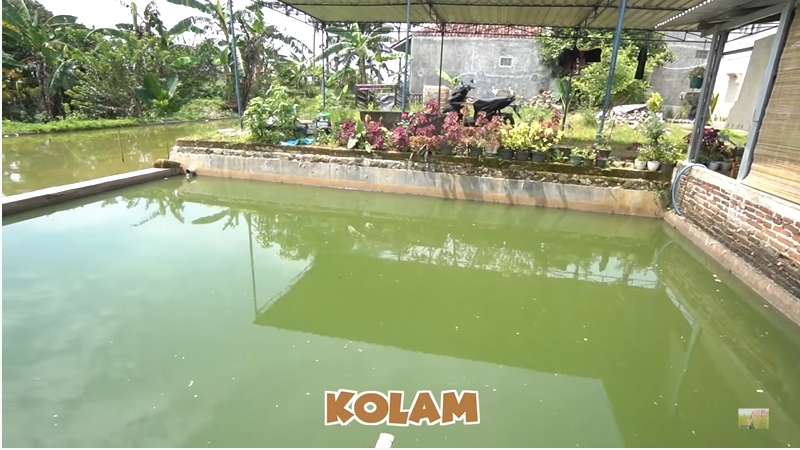 10 Potret Rumah Mewah TKI Korea Selatan yang Viral, Bak Istana di Tengah Perkampungan!