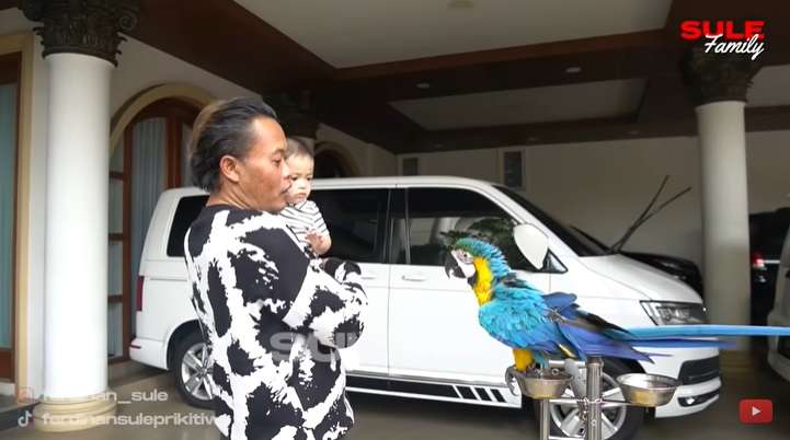 Potret Adzam Anak Sule dan Nathalie Holscher Main ke Rumah Ayahnya, Nggak Pengen Lepas!