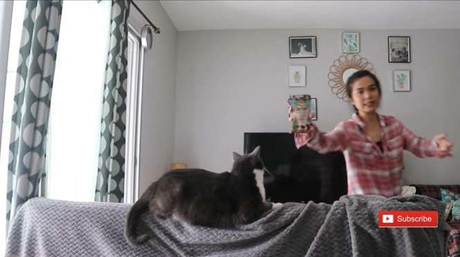 10 Adu Mewah Rumah Sinta VS Jojo Keong Racun, Bak Langit dan Bumi, Kini Beda Nasib!