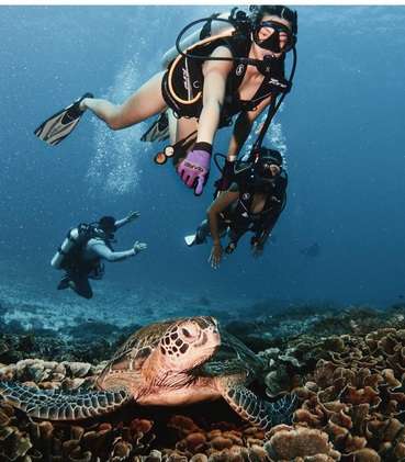 Potret Seru Nia Ramadhani Diving di Labuan Bajo
