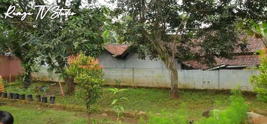 10 Adu Mewah Rumah Penyanyi Legendaris Iwan Fals VS Deddy Dores, Bak Bumi dan Langit, Yang Satu Punya Lapangan Konser!