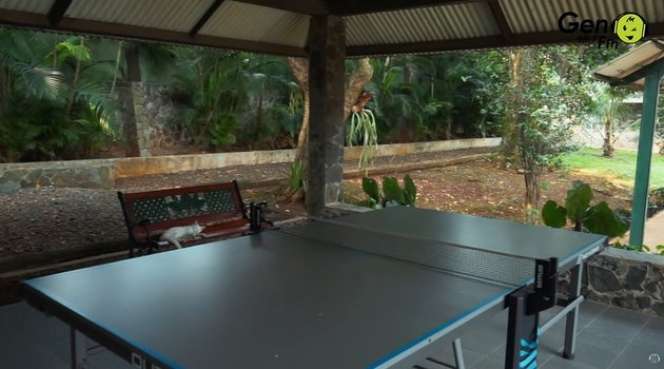 10 Adu Mewah Rumah Penyanyi Legendaris Iwan Fals VS Deddy Dores, Bak Bumi dan Langit, Yang Satu Punya Lapangan Konser!