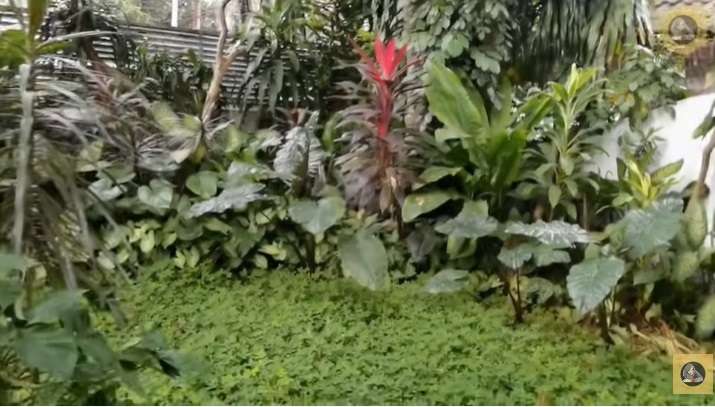 Potret Rumah Rizal Ramli Mantan Menteri yang Kerap Kritik, Ternyata Punya Koleksi Lukisan Unik!