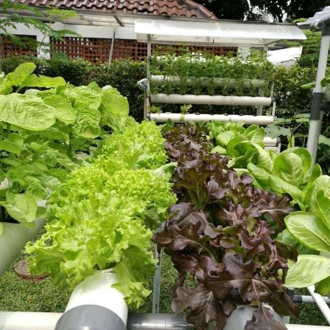 10 Potret Rumah Mewah Menlu Retno Marsudi, Menteri Andalan Jokowi di Luar Negeri!