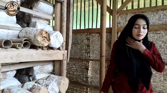Viral! Gadis Desa Cantik Jadi Petani Jamur Tiram di Kampung Terpencil, Netizen: Bidadari Kesasar!