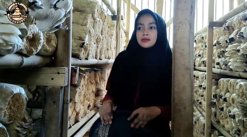 Viral! Gadis Desa Cantik Jadi Petani Jamur Tiram di Kampung Terpencil, Netizen: Bidadari Kesasar!