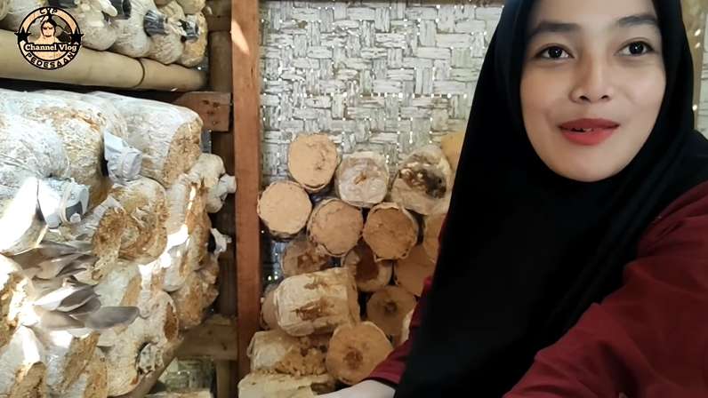 Viral! Gadis Desa Cantik Jadi Petani Jamur Tiram di Kampung Terpencil, Netizen: Bidadari Kesasar!
