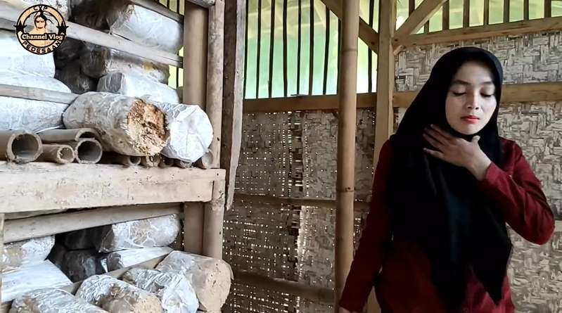 Viral! Gadis Desa Cantik Jadi Petani Jamur Tiram di Kampung Terpencil, Netizen: Bidadari Kesasar!