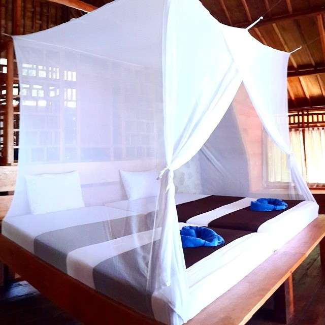 10 Potret Hotel `Kayu` Nadine Chandrawinata di Raja Ampat, Dikelilingi Lautan Biru, Real Surga Dunia!