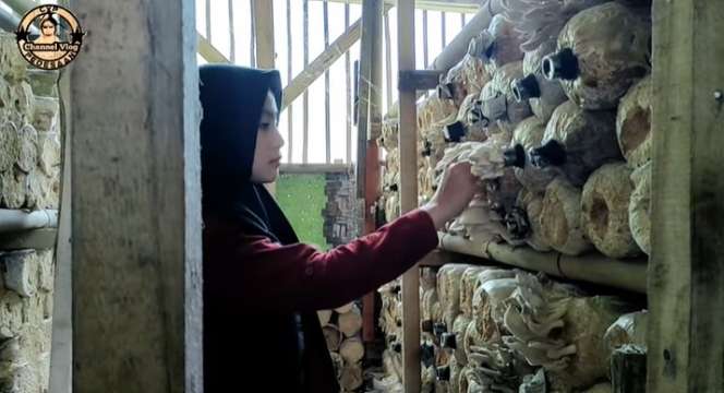 Potret Santi, Petani Jamur di Tasikmalaya, Parasnya Bak Bidadari Turun Ke Bumi!