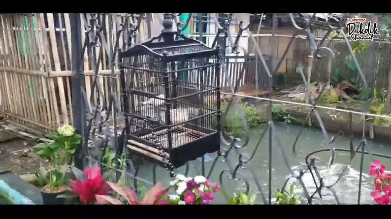 10 Potret Rumah Kang Gobang Preman Pensiun, Sangat Sederhana, Buka Pintu Langsung Empang!