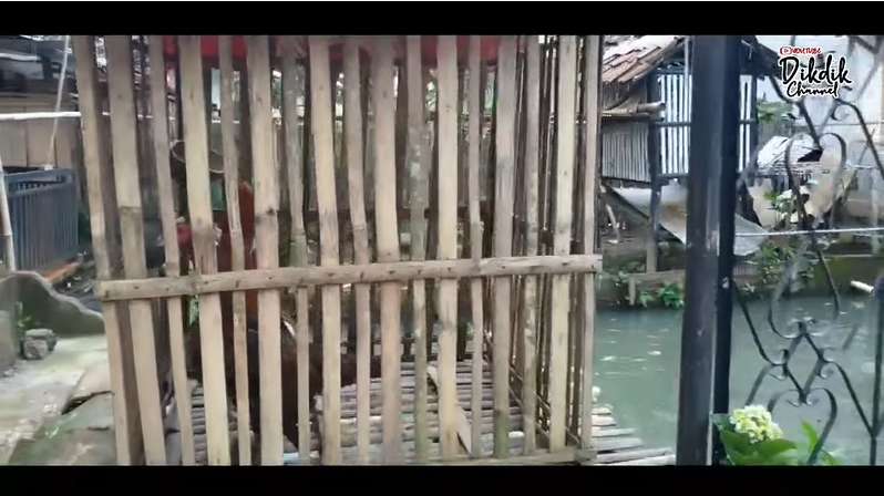 10 Potret Rumah Kang Gobang Preman Pensiun, Sangat Sederhana, Buka Pintu Langsung Empang!
