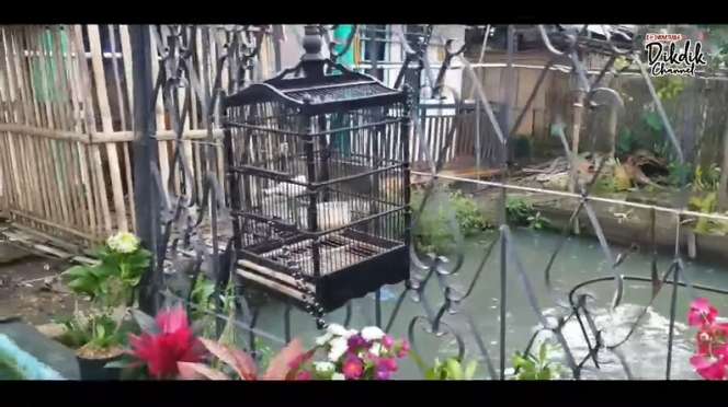 10 Potret Rumah Kang Gobang Preman Pensiun, Sangat Sederhana, Buka Pintu Langsung Empang!