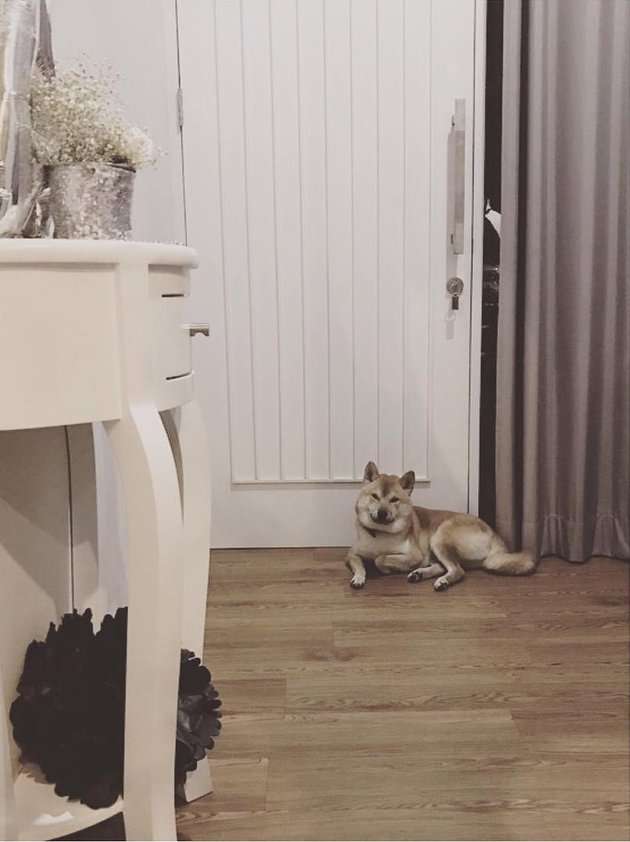 Potret Rumah Ratu Felisha, Ternyata Bergaya Vintage yang Super Keren!