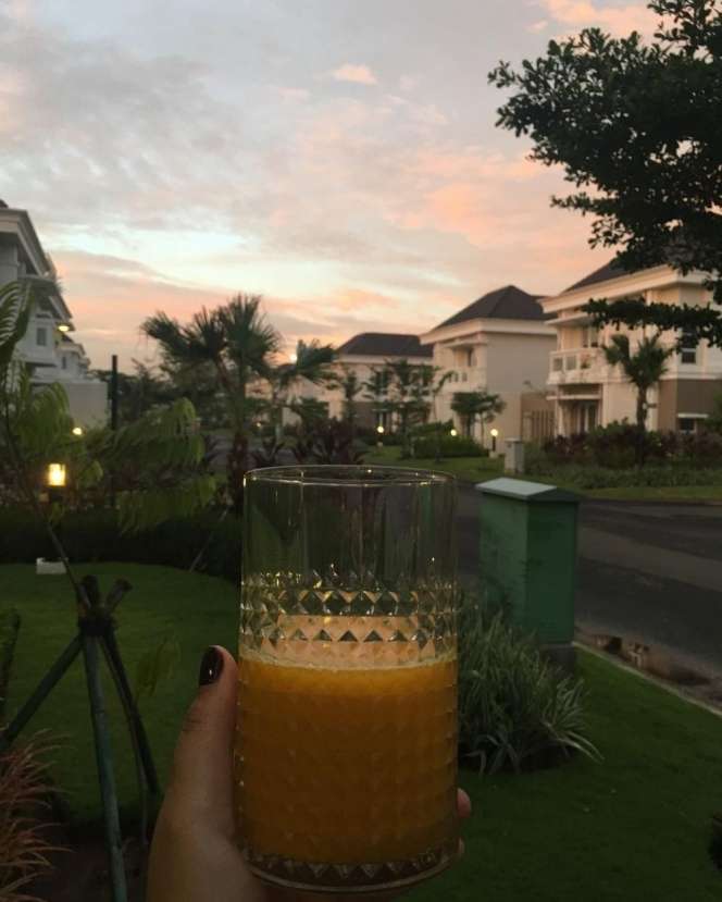 Sama-sama Aktor Laga, Inilah Adu Perbandingan Rumah Iko Uwais VS Barry Prima, Ternyata Beda Jauh!