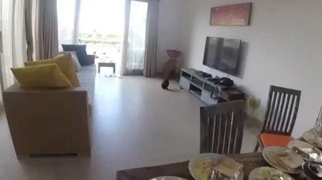 Sama-sama Aktor Laga, Inilah Adu Perbandingan Rumah Iko Uwais VS Barry Prima, Ternyata Beda Jauh!