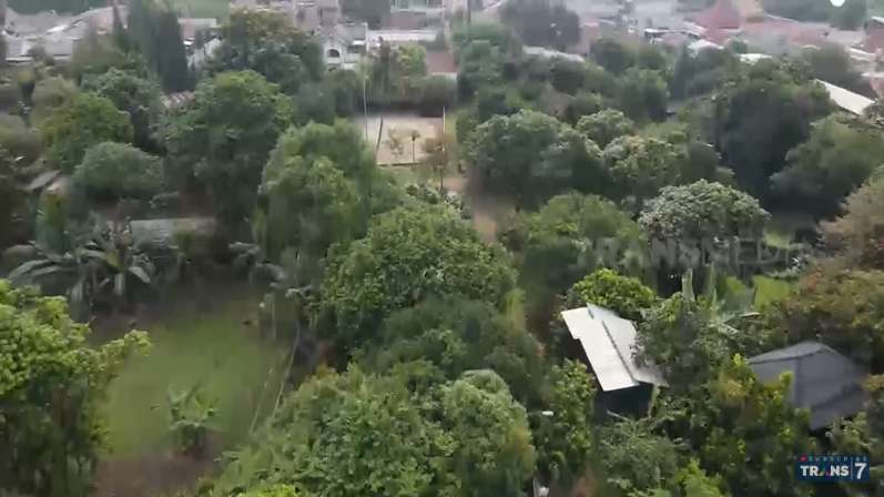 10 Potret Kebun Binatang Mantan Gubernur DKI Sutiyoso, Ngerinya Bak Hutan Belantara, Ada Ikan Raksasa!