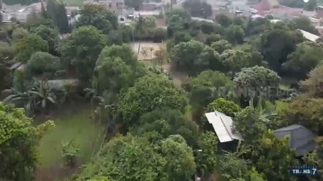 10 Potret Kebun Binatang Mantan Gubernur DKI Sutiyoso, Ngerinya Bak Hutan Belantara, Ada Ikan Raksasa!
