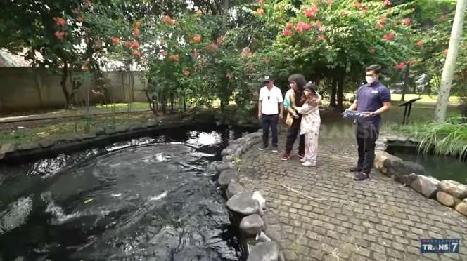 10 Potret Kebun Binatang Mantan Gubernur DKI Sutiyoso, Ngerinya Bak Hutan Belantara, Ada Ikan Raksasa!