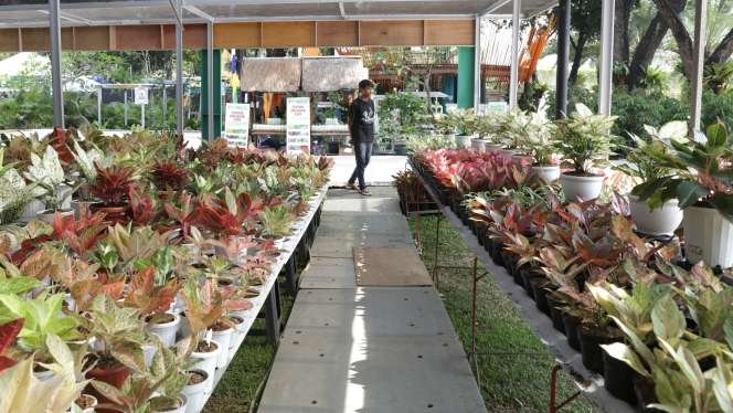 FOTO: Pameran Flora dan Fauna 2022 Kembali Digelar Setelah Vakum Selama 2 Tahun