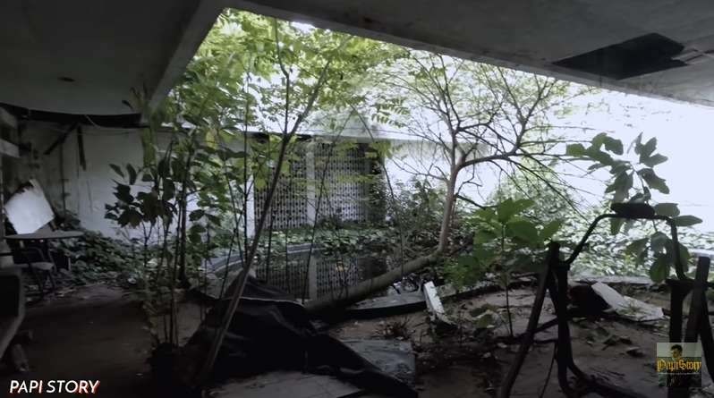 10 Potret Rumah Miliarder Terbengkalai 15 Tahun, Tinggalkan Barang Antik & 2 Mobil Mewah 