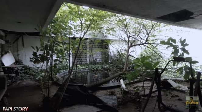 10 Potret Rumah Miliarder Terbengkalai 15 Tahun, Tinggalkan Barang Antik & 2 Mobil Mewah 