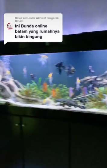 Viral Desain Rumah Ini Bikin Bingung Lihatnya