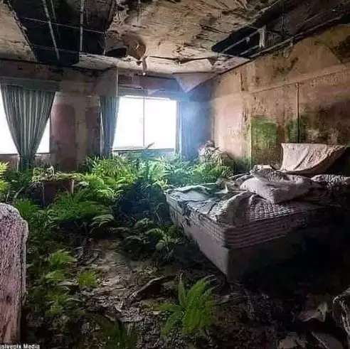 10 Potret Kamar Bernuansa Alam Ini Bikin Tepuk Jidat, Terakhir Paling Aneh, Tidur di Atas Sungai!