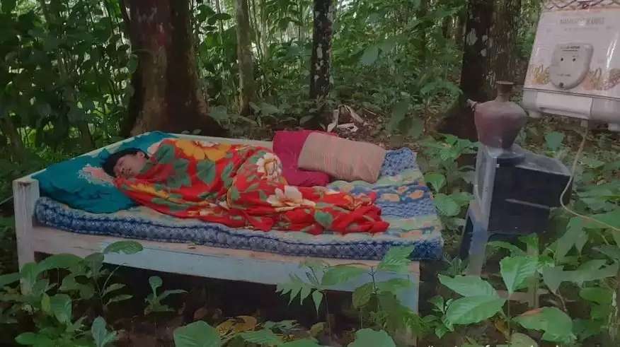10 Potret Kamar Bernuansa Alam Ini Bikin Tepuk Jidat, Terakhir Paling Aneh, Tidur di Atas Sungai!