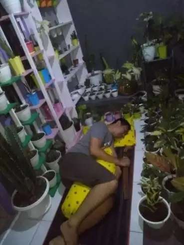 10 Potret Kamar Bernuansa Alam Ini Bikin Tepuk Jidat, Terakhir Paling Aneh, Tidur di Atas Sungai!
