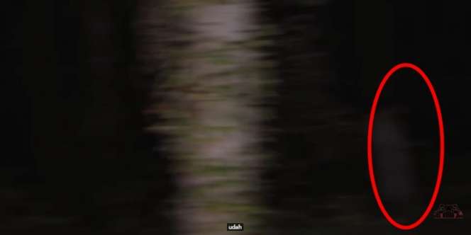 Panji Petualang Rekam Sosok Hantu Pocong Saat Berburu Ular di Hutan, Wujudnya Ngeri!
