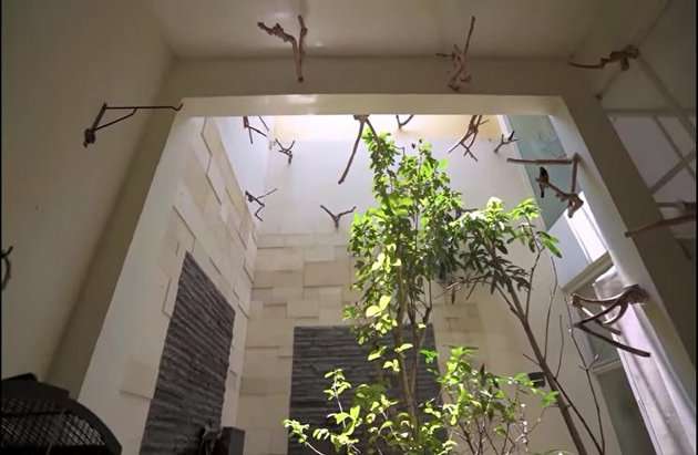 Potret Rumah Dodit Mulyanto di Jakarta, Berkonsep Open Space Serta Kandang Burung Super Besar!