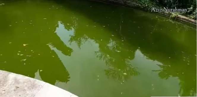 7 Potret Hotel Mewah Terbengkalai 5 Tahun di Bali, Penuh Ukiran, Lorongnya Bikin Merinding!