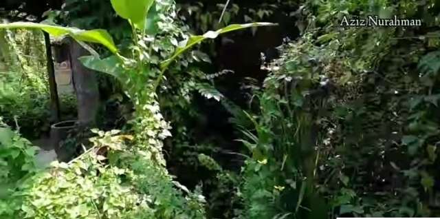 7 Potret Hotel Mewah Terbengkalai 5 Tahun di Bali, Penuh Ukiran, Lorongnya Bikin Merinding!