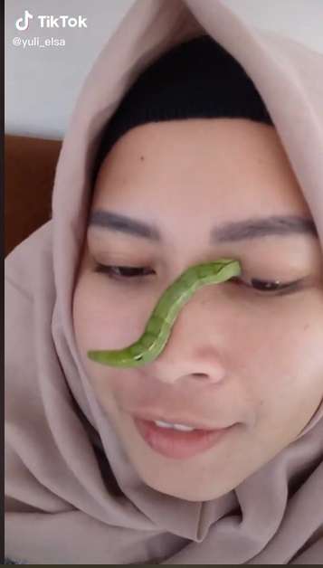 Potret Emak-emak Asyik Bermain Ulat Hingga Berani Taruh di Wajah. Aksinya Bikin Merinding!