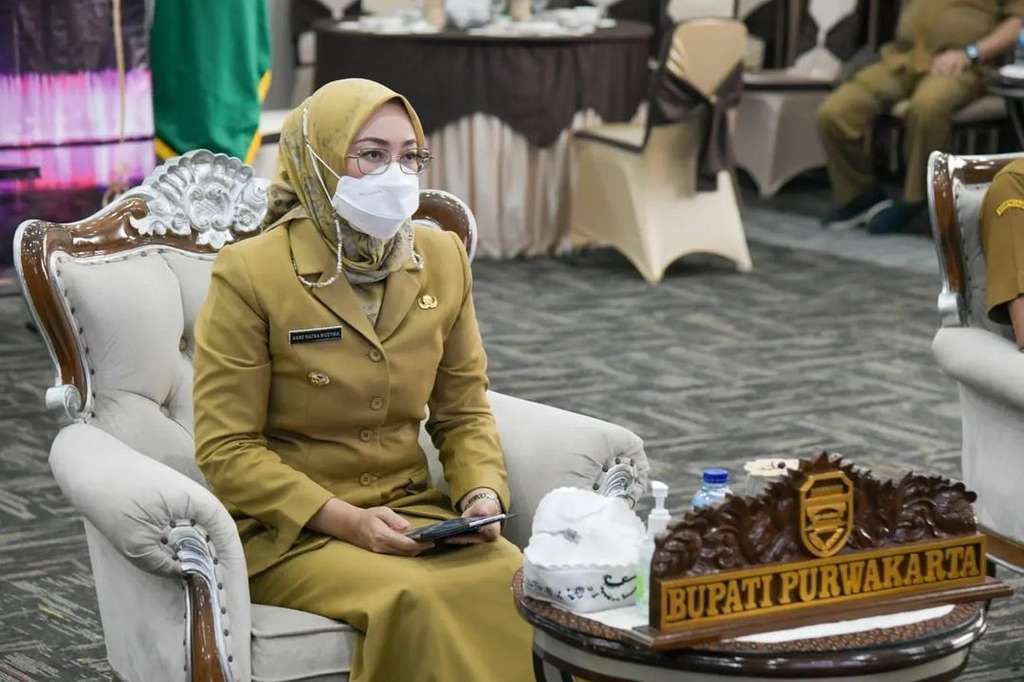 8 Potret Cantik Anne Ratna Mustika, Bupati yang Gugat Cerai Anggota DPR Dedi Mulyadi, Ternyata Bukan Orang Biasa!