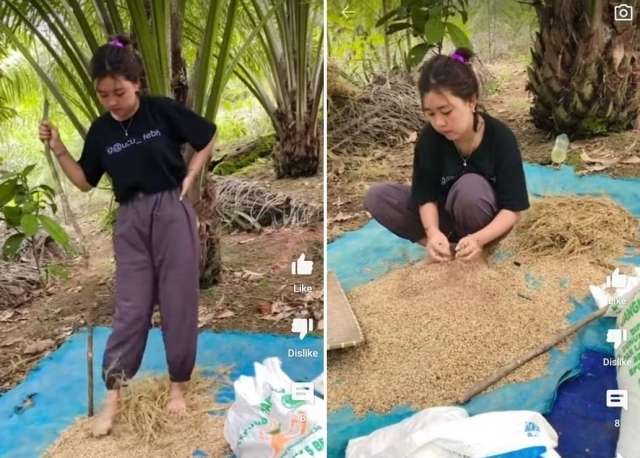 Potret 5 Gadis Dayak yang Cantiknya Bak Bidadari, Profesinya Penarik Perahu Hingga Kuli Bangunan!